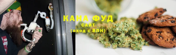 сатива Ельня