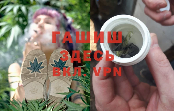 сатива Абаза