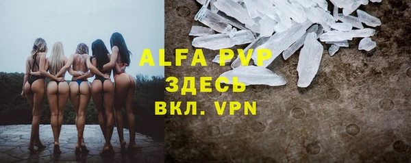 сатива Абаза