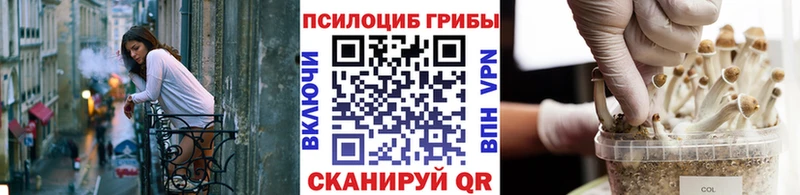 Псилоцибиновые грибы ЛСД  закладки  Горбатов 