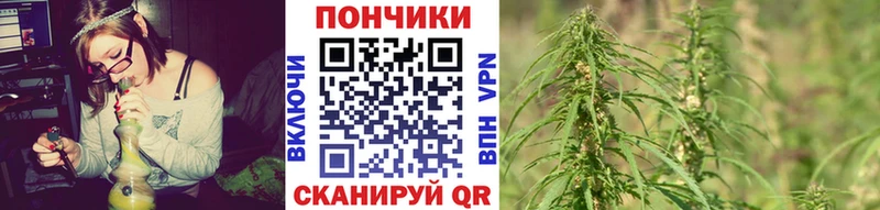 Канабис планчик  mega онион  Горбатов 